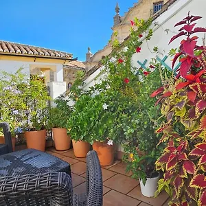 Descalzos Angel With Private Terrace Free Parking Appartement